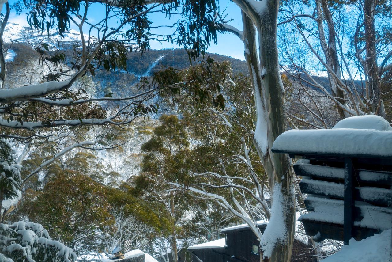 Hotel Pure Chalet Thredbo Exterior foto